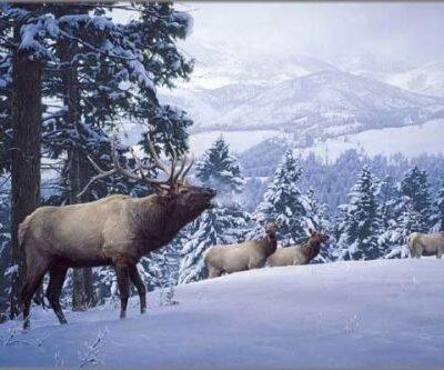 Photo of the painting Early Snow by Daniel Smith