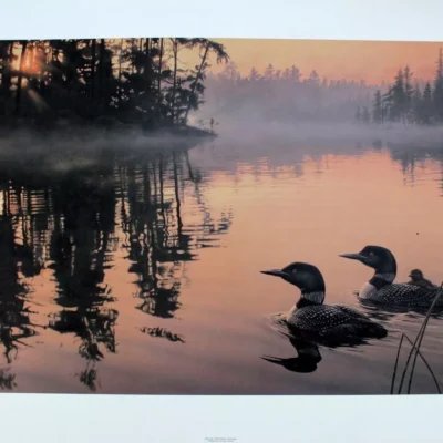 Photo of the painting Echo Bay - Loon Family by Daniel Smith