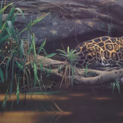 Photo of the painting Emerald Forest by Daniel Smith