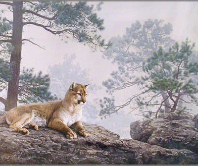 Photo of the painting Forest Veil Cougar by Daniel Smilh