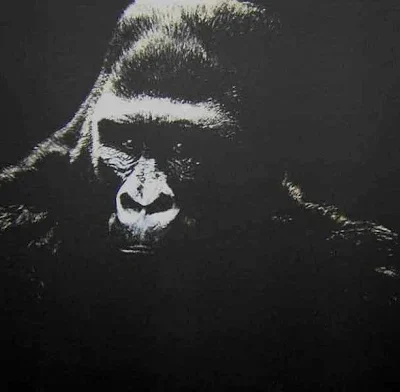 Photo of the painting Gorilla-John-Seerey-Lester.