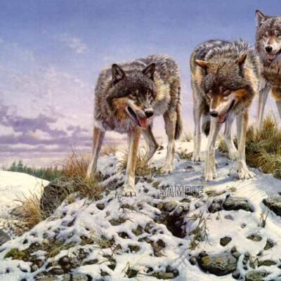 Photo of the painting Highground-wolves-by-John-Seerey-Lester