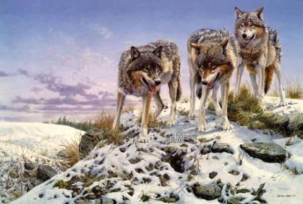 Photo of the painting Highground-wolves-by-John-Seerey-Lester