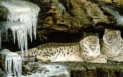 Photo of the painting Ice Castle-Snow Leopards by Alan Sakhavarz