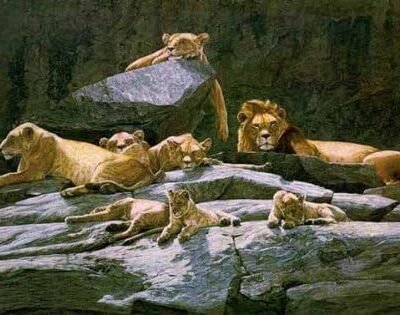 Photo of the painting Lion about - Simon Combes