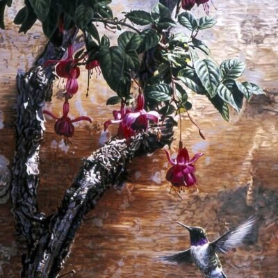 Photo of the painting Mission Wall Hummingbird by Terry Isaac