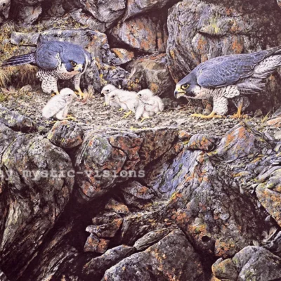 Photo of the painting Peregrine Falcon by Alan Hunt