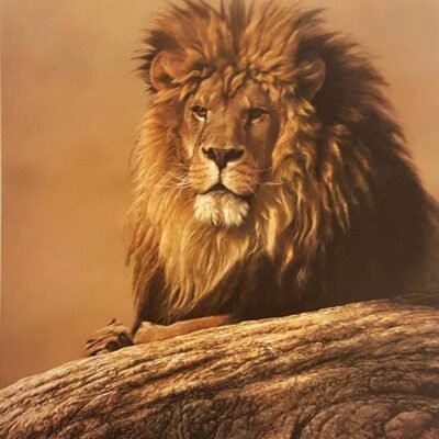 Photo of the Painting Reigning Monarch by Alan Hunt