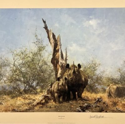 Photo of the painting Rhino Beware by David Shepherd