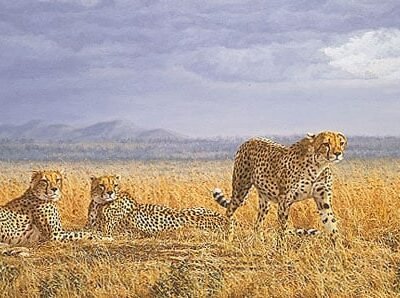 Photo of the painting Serious Intent by Simon Combes