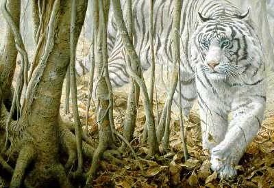 Photo of the painting Softly Softly White tiger by John Seerey-Lester.j