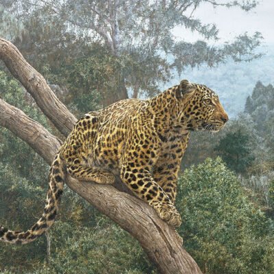 Photo of the painting Solitary Hunter by Simon Combes