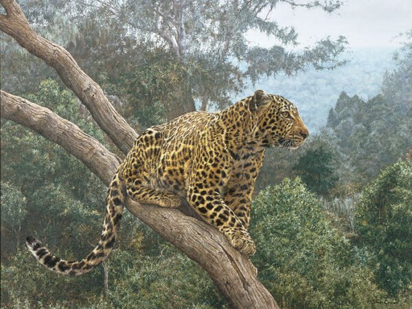 Photo of the painting Solitary Hunter by Simon Combes