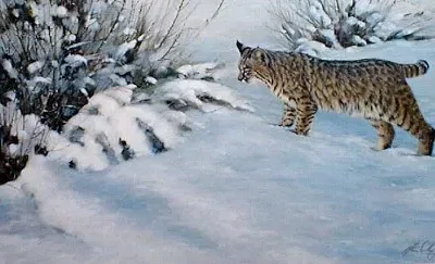 Photo of the painting Something moved Bobcat by Morten Solberg