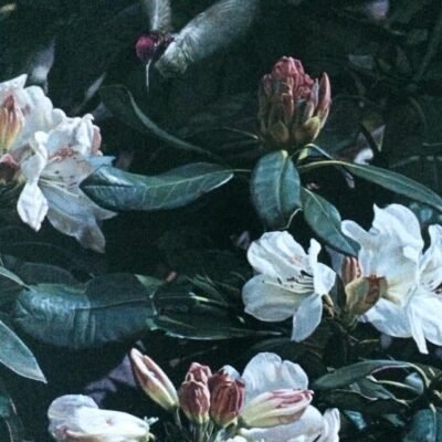 Photo of the painting Sasting Spring by Terry Isaac