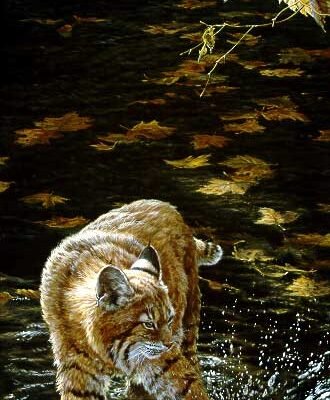 Photo of the painting Water-Sport-bobcat-John-Seerey-Lester