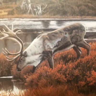Photo of the painting Way of the Caribou by Rob Frederick