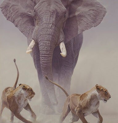 Photo of the painting Zero Tolerane by Daniel Smith