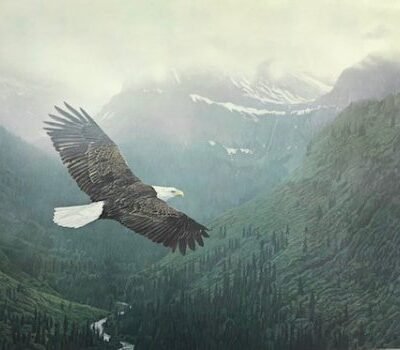 Photo of the painting Into the Mist by Terry Isaac