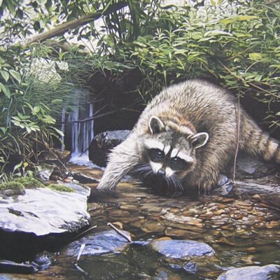 Photo of the painting Searching the Stream by Ron Parker