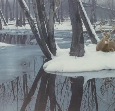 Photo of the painting Winter Whites by Daniel Smith
